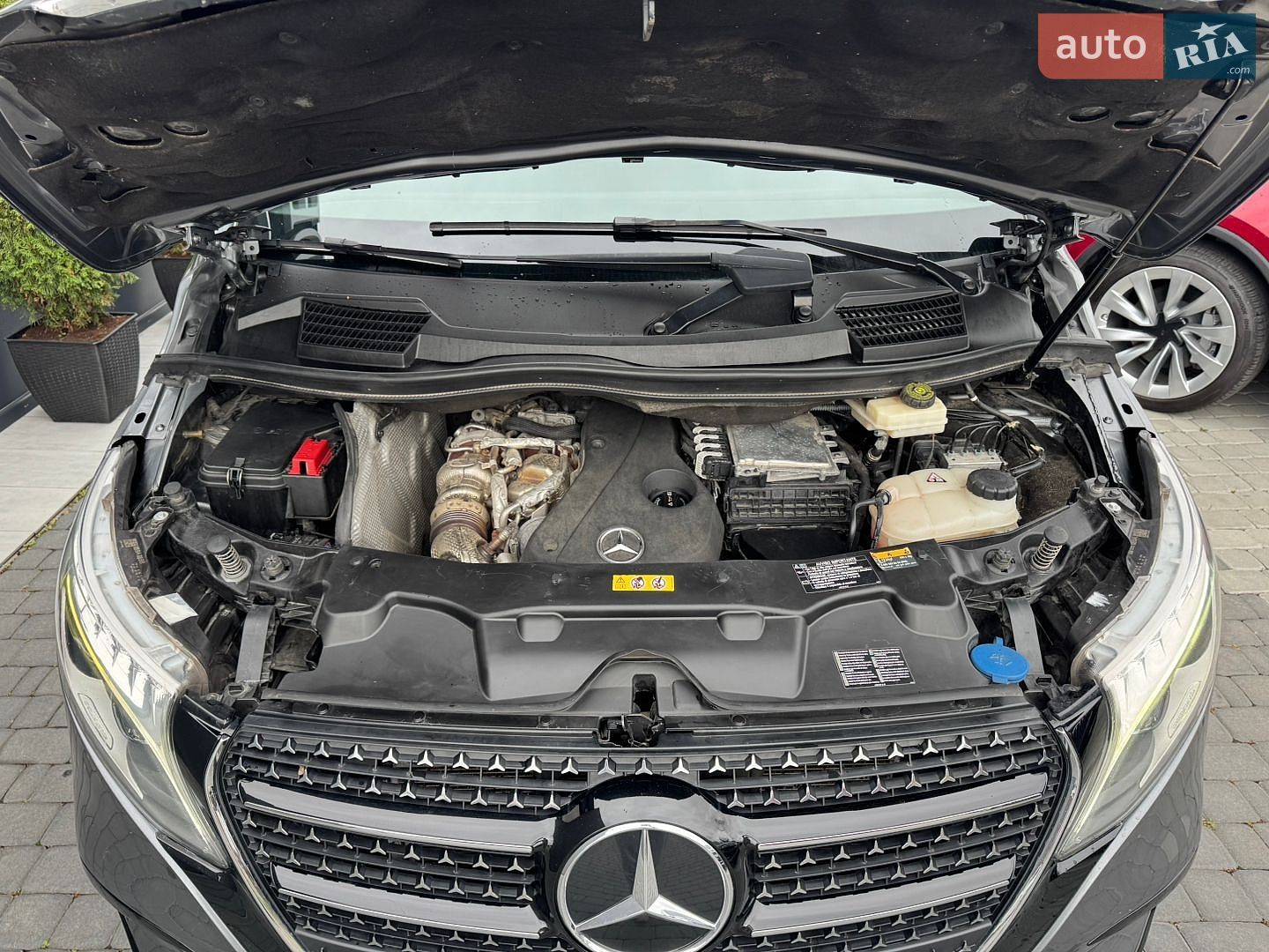 Mercedes-Benz V-Class 2021 VIN W1V44781313884592 фото оголошення 10 з 32
