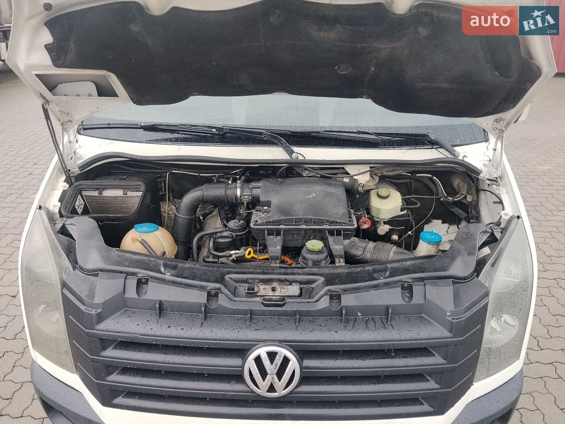 Volkswagen Crafter 2009 VIN WV1ZZZ2EZ96016681 фото оголошення 20 з 20