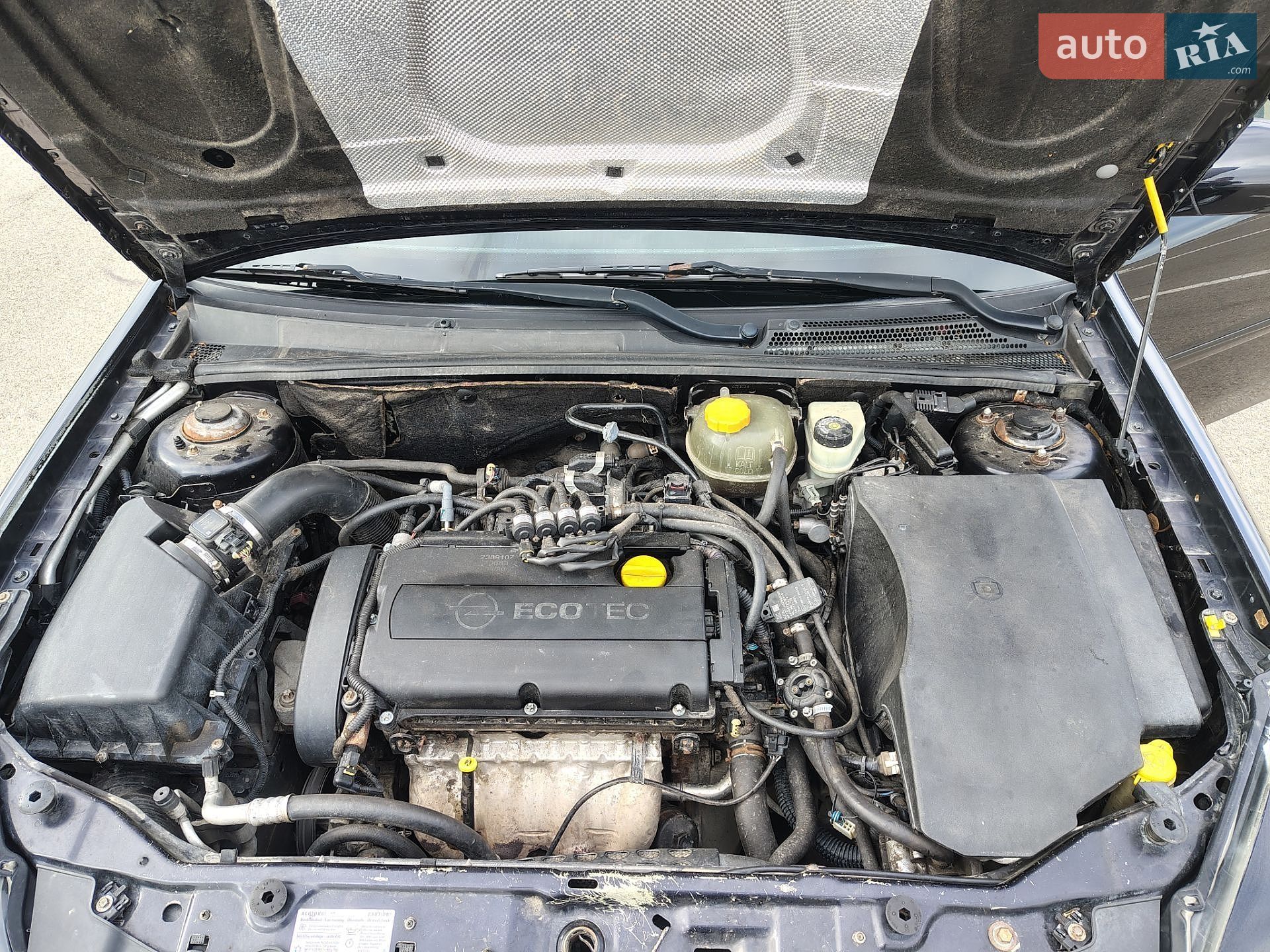 Opel Vectra 2007 VIN W0L0ZCF6871037312 фото оголошення 19 з 19