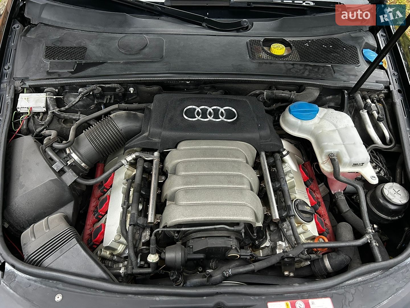 Audi A6 2005 VIN WAUZZZ4F55Z049727 фото оголошення 10 з 11