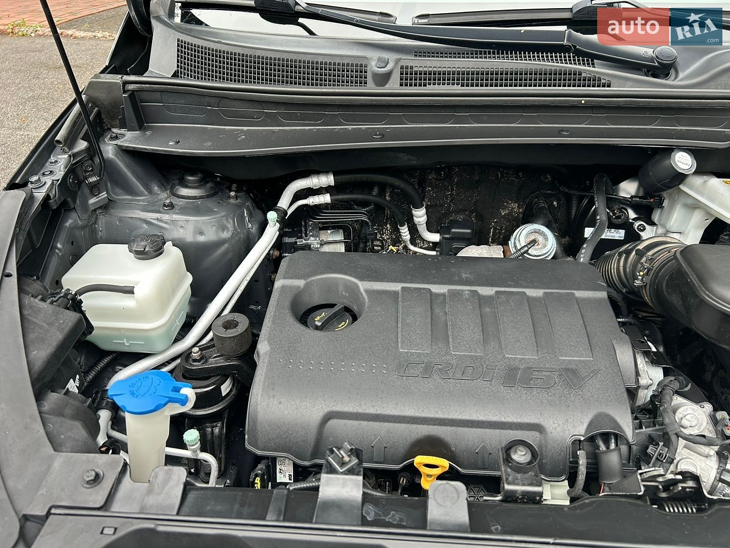 Kia Sportage 2013 VIN Y6DPB815ADL410317 фото оголошення 18 з 27