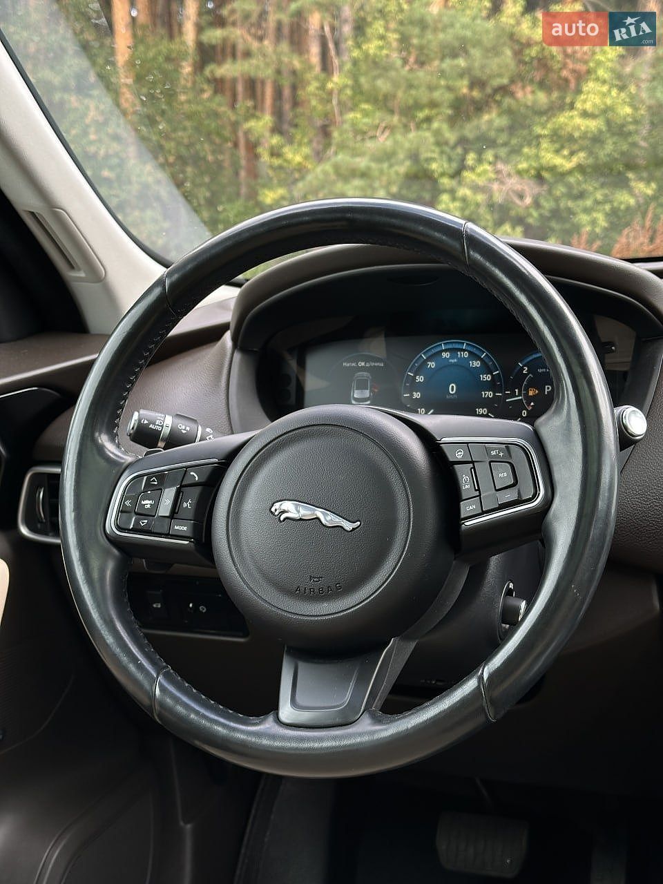 Jaguar F-Pace 2016 VIN SADCK2BN1HA491037 фото оголошення 22 з 47