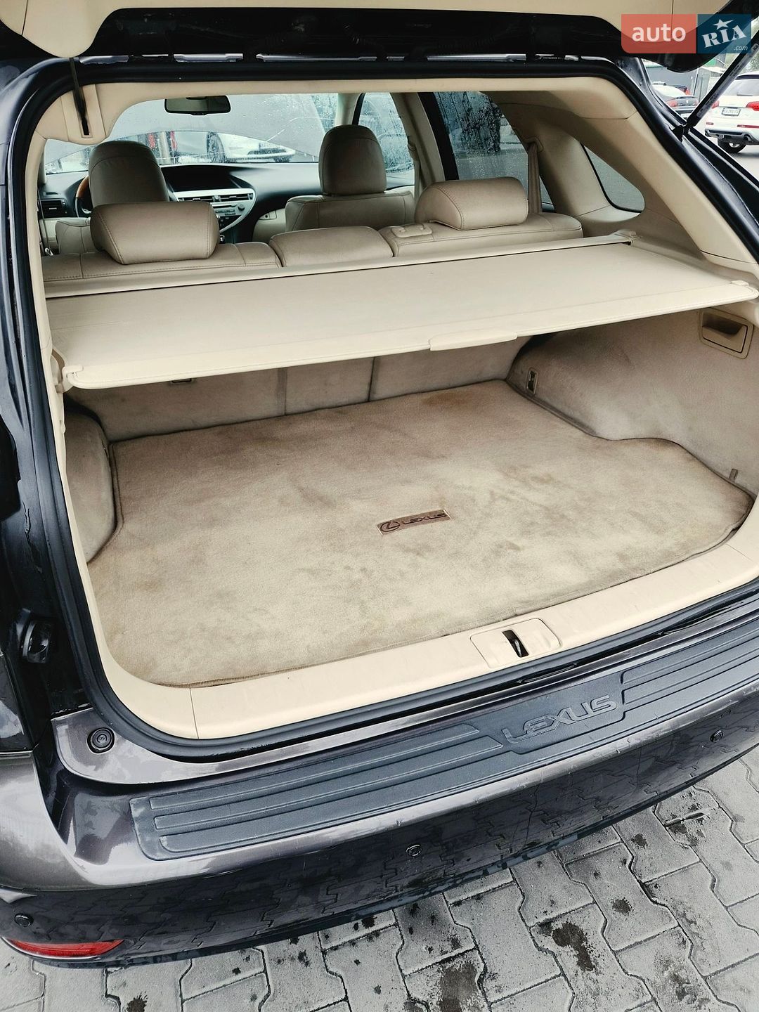 Lexus RX 2010 VIN 2T2BK1BA9AC076401 фото оголошення 22 з 23
