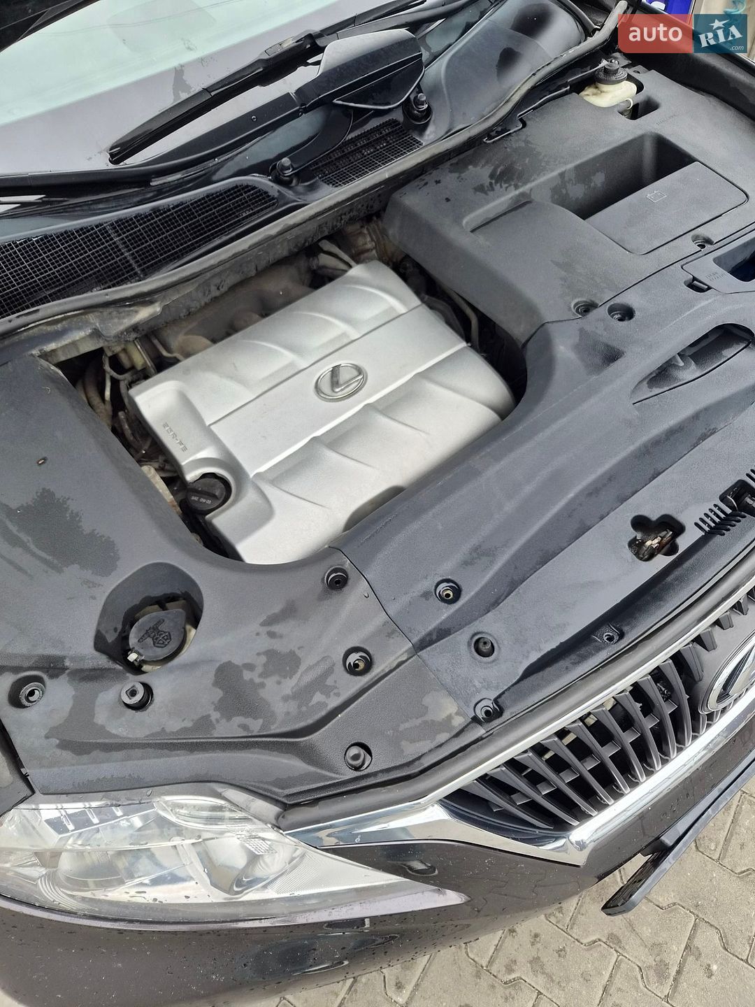 Lexus RX 2010 VIN 2T2BK1BA9AC076401 фото оголошення 23 з 23
