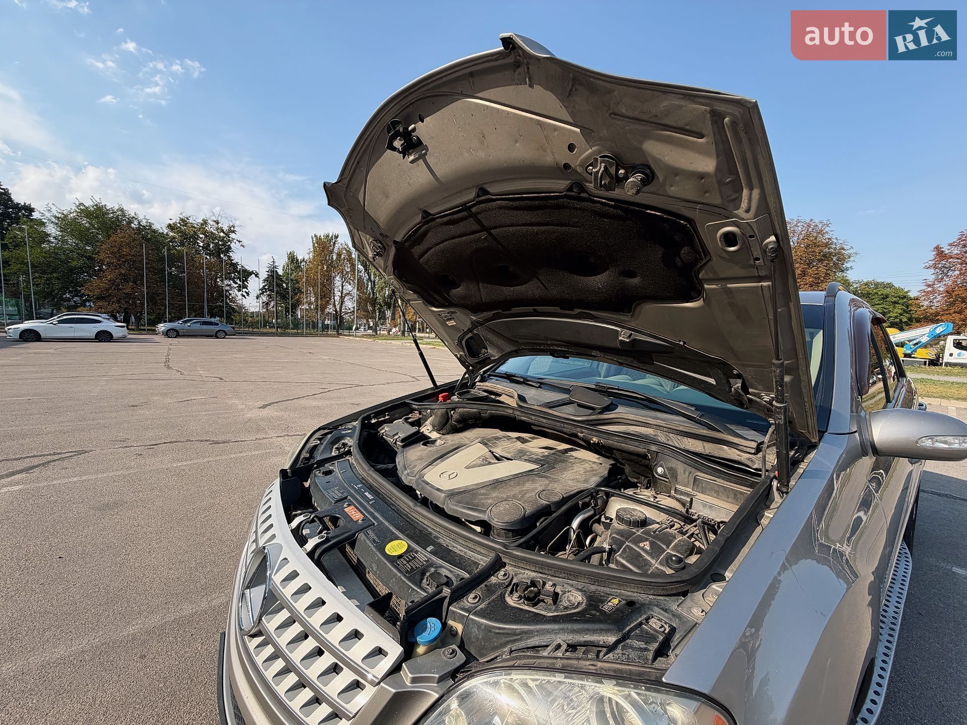Mercedes-Benz M-Class 2008 VIN 4JGBB22E38A420473 фото оголошення 6 з 13