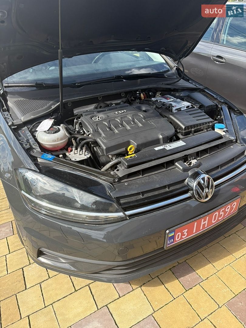 Volkswagen Golf 2019 VIN WVWZZZAUZKP565667 фото оголошення 28 з 28