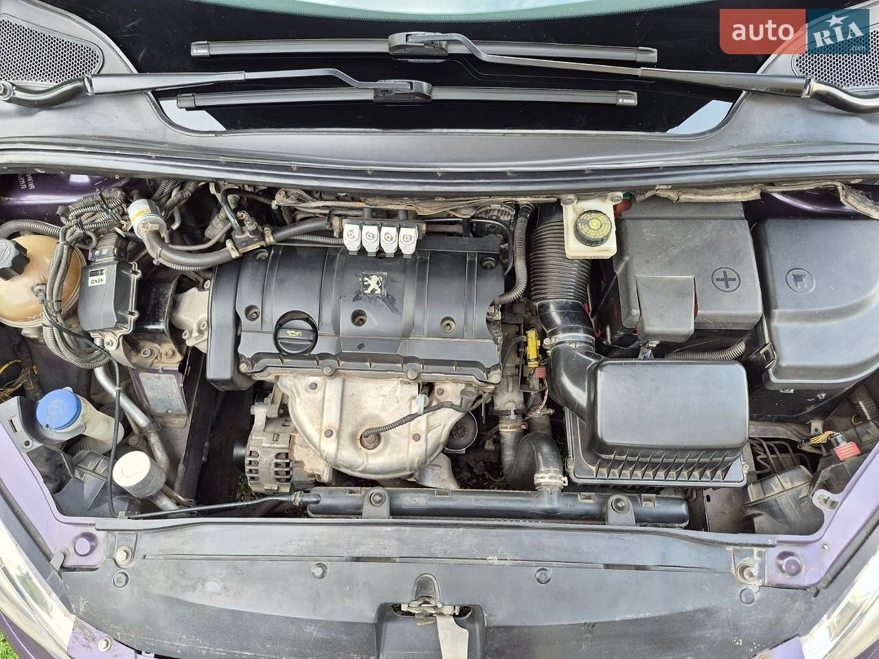 Peugeot 307 2004 VIN VF33HNFUB83452097 фото оголошення 20 з 37