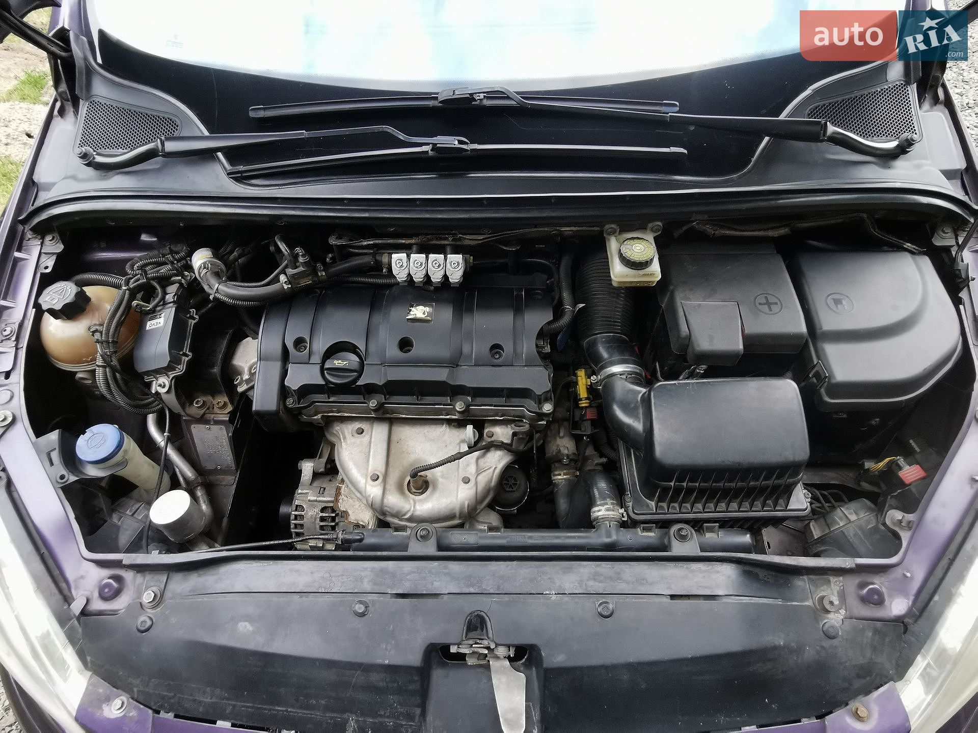 Peugeot 307 2004 VIN VF33HNFUB83452097 фото оголошення 29 з 37