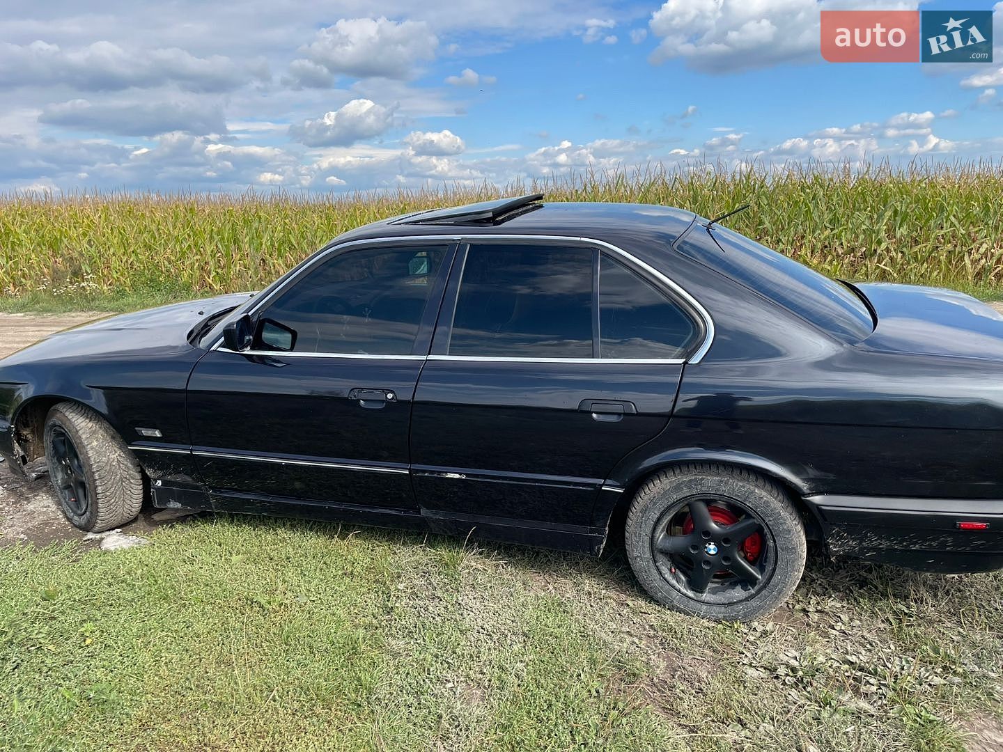 BMW 5 Series 1994 VIN WBAHB51030GH08632 фото оголошення 5 з 13