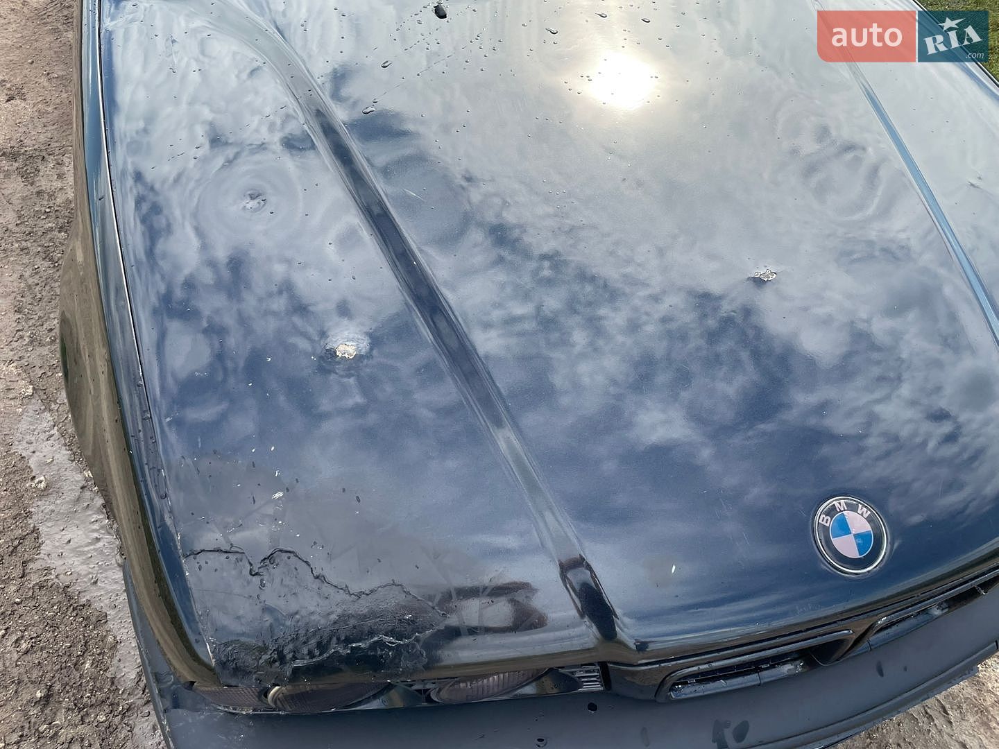 BMW 5 Series 1994 VIN WBAHB51030GH08632 фото оголошення 5 з 12
