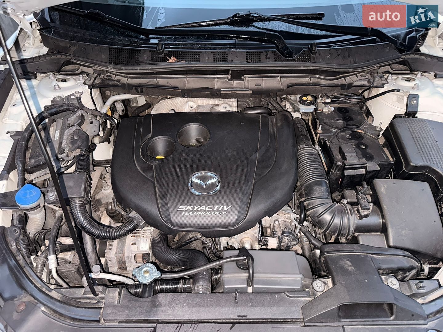 MAZDA CX-5 2015 VIN JMZKEN92800423102 фото оголошення 14 з 22