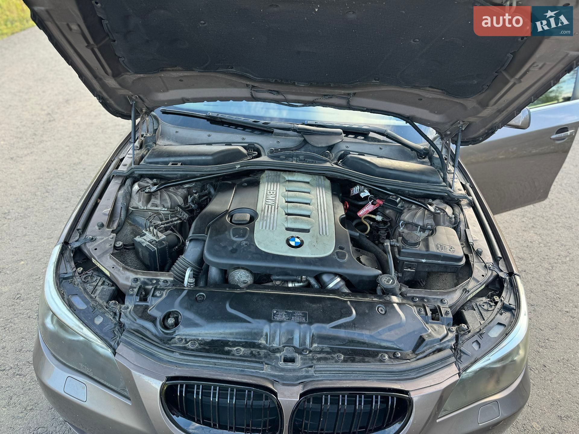 BMW 5 Series 2004 VIN WBANC51010B130010 фото оголошення 23 з 23