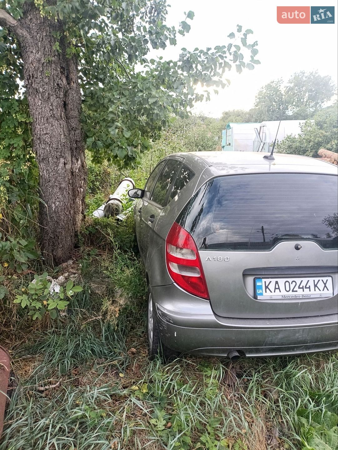 Mercedes-Benz A-Class 2005 VIN WDD1690071J200957 фото оголошення 6 з 13