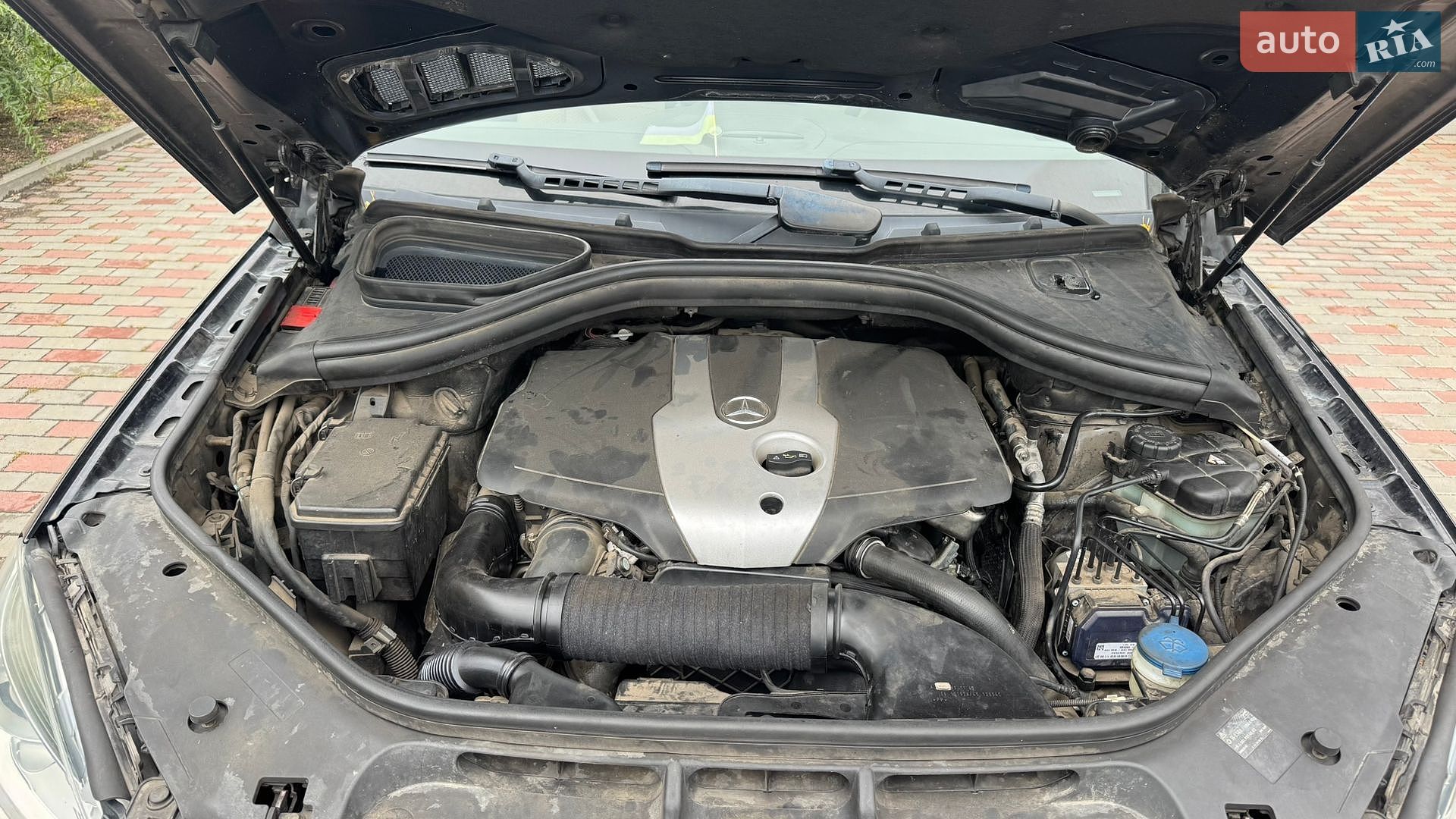 Mercedes-Benz M-Class 2012 VIN WDC1660041A015851 фото оголошення 13 з 13