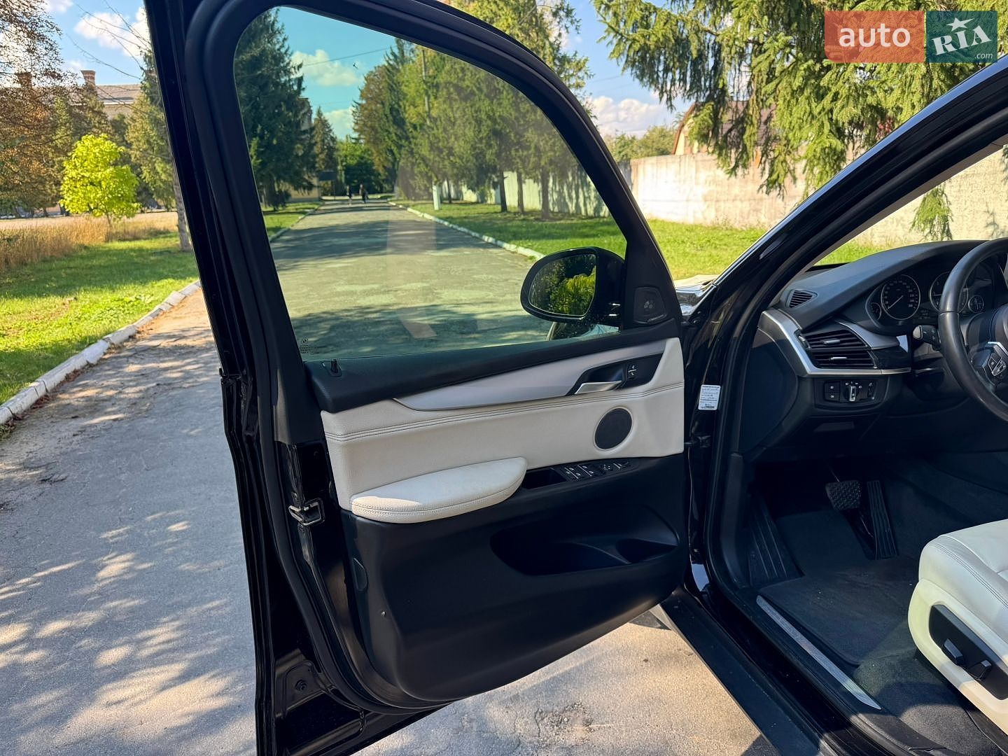 BMW X5 2014 VIN WBAKS210100H98201 фото оголошення 23 з 26
