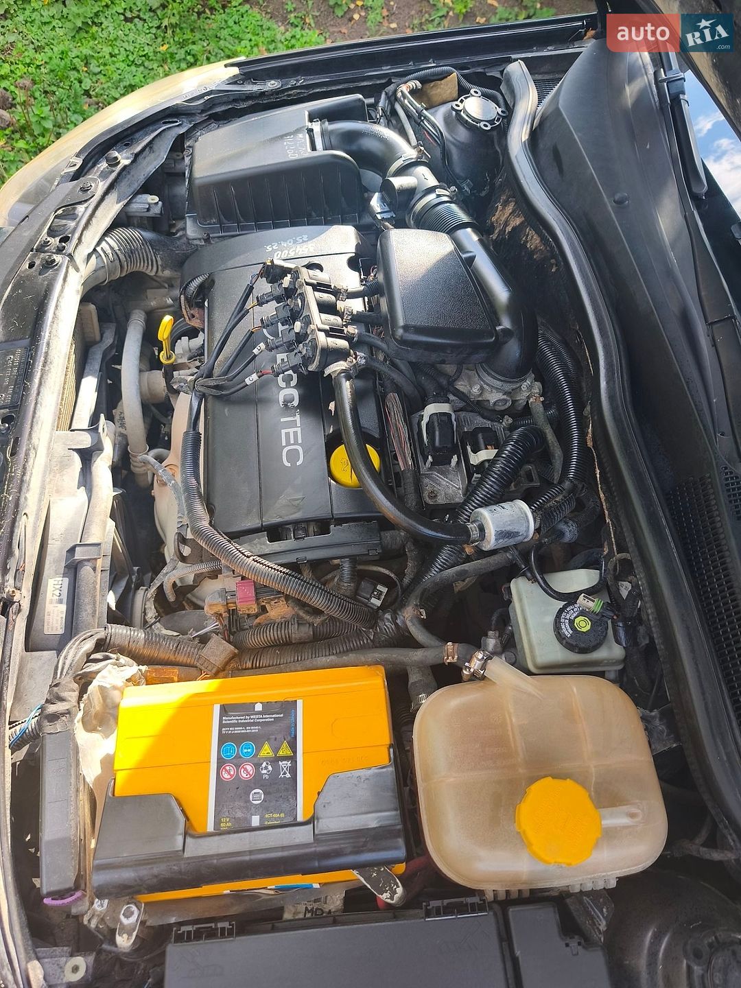 Opel Astra 2006 VIN W0L0AHL3562117523 фото оголошення 7 з 12