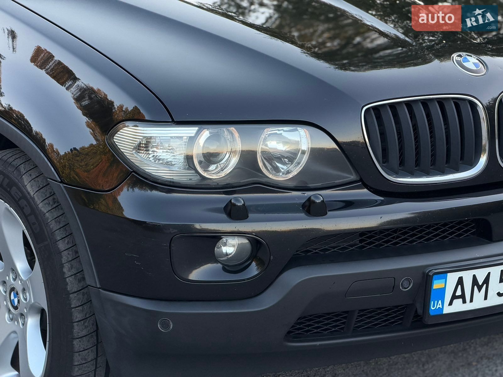 BMW X5 2005 VIN WBAFA11030LT58801 фото оголошення 3 з 45