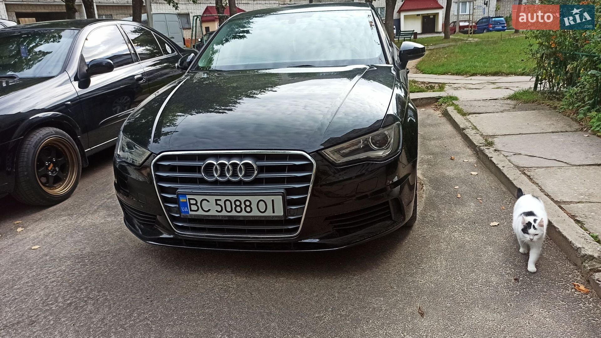 Audi A3 2016 VIN WAUZZZ8VXG1100626 фото оголошення 13 з 18