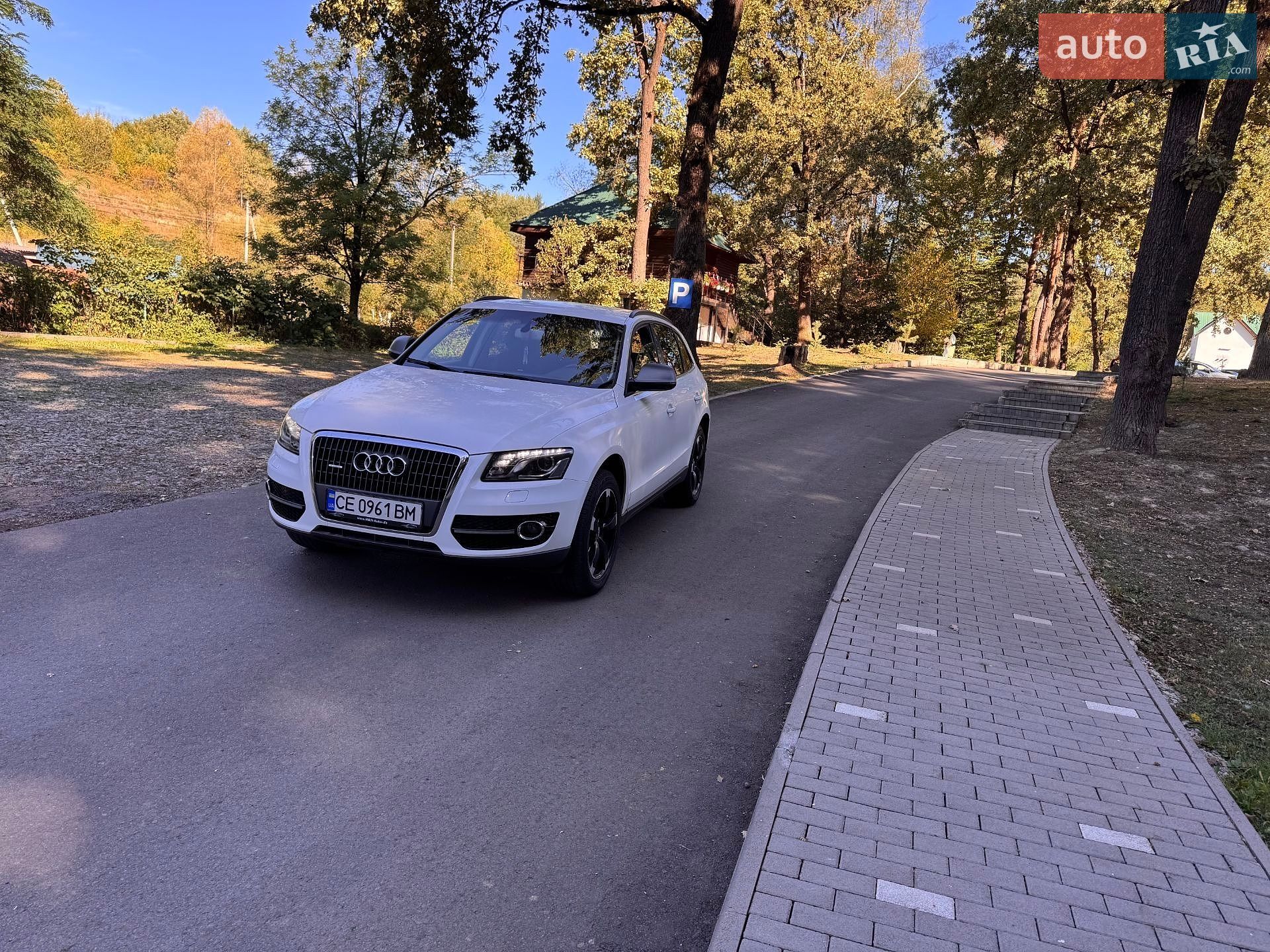 Audi Q5 2010 VIN WAUZZZ8R4BA040595 фото оголошення 8 з 19