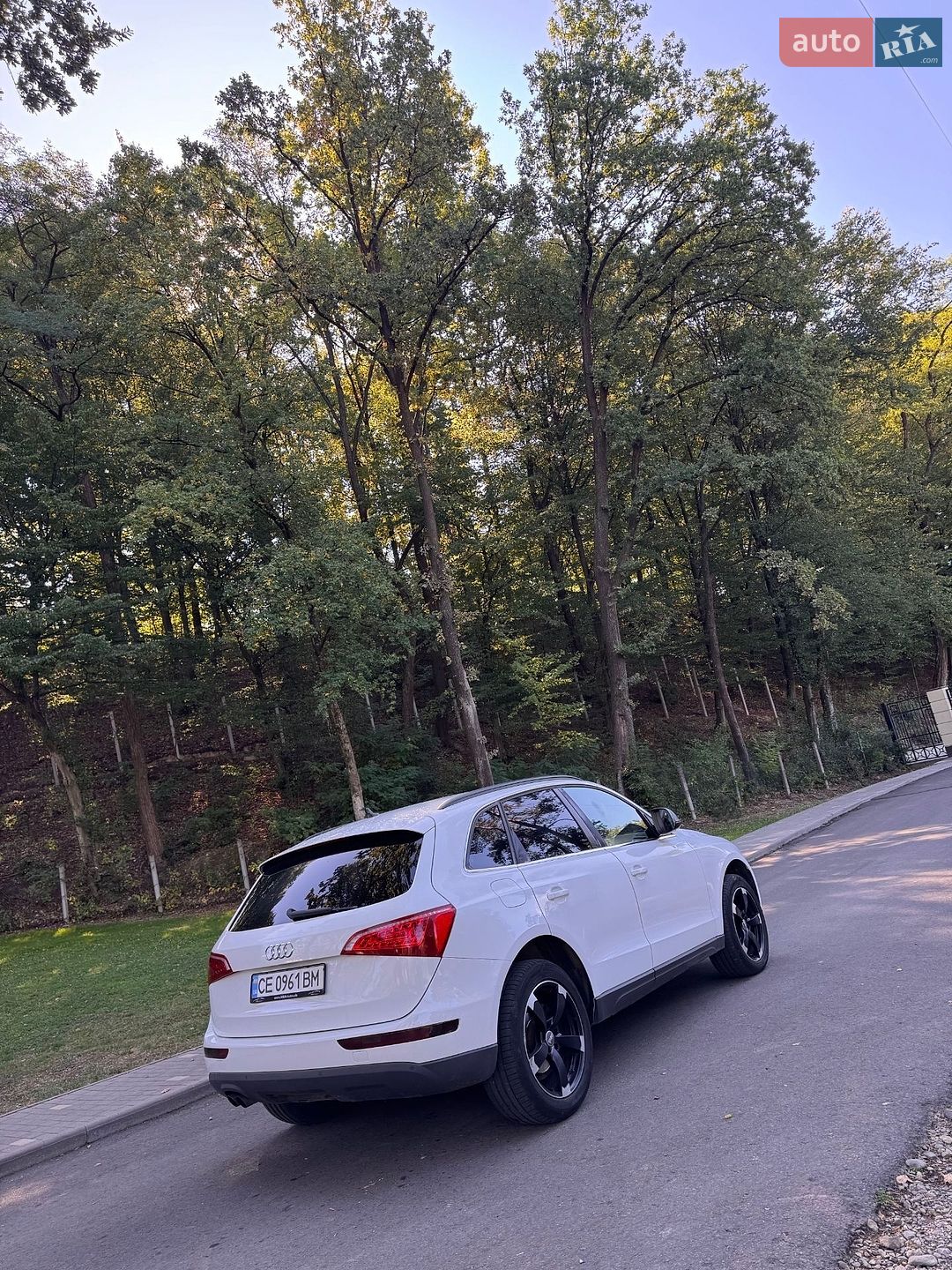 Audi Q5 2010 VIN WAUZZZ8R4BA040595 фото оголошення 6 з 19
