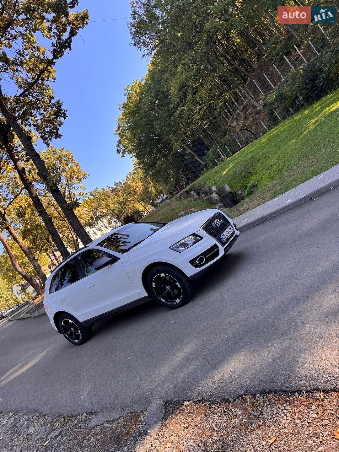 Audi Q5 2010 VIN WAUZZZ8R4BA040595 фото оголошення 11 з 19