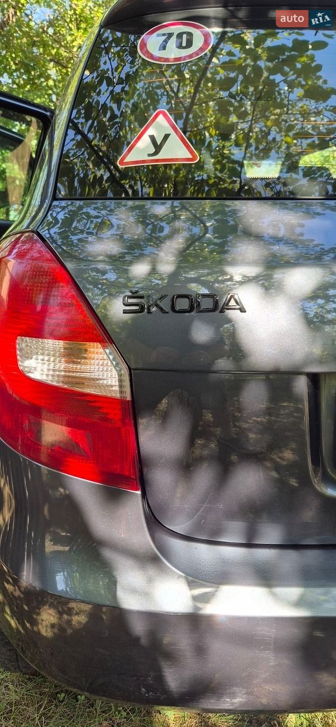 Skoda Fabia 2008 VIN TMBDD45J38B503178 фото оголошення 9 з 23