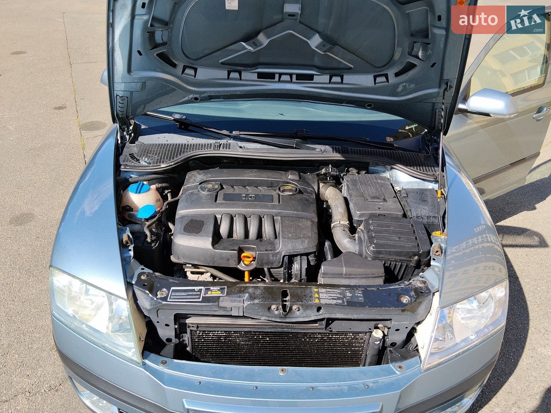 Skoda Octavia 2006 VIN TMBGA61Z172033180 фото оголошення 17 з 17