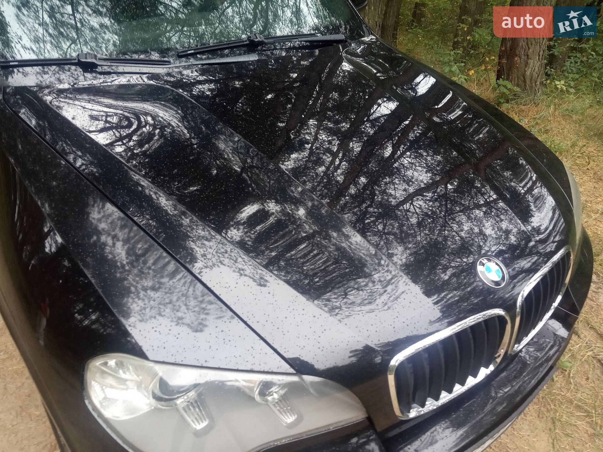 BMW X5 2010 VIN WBAZW41010L427484 фото оголошення 16 з 16
