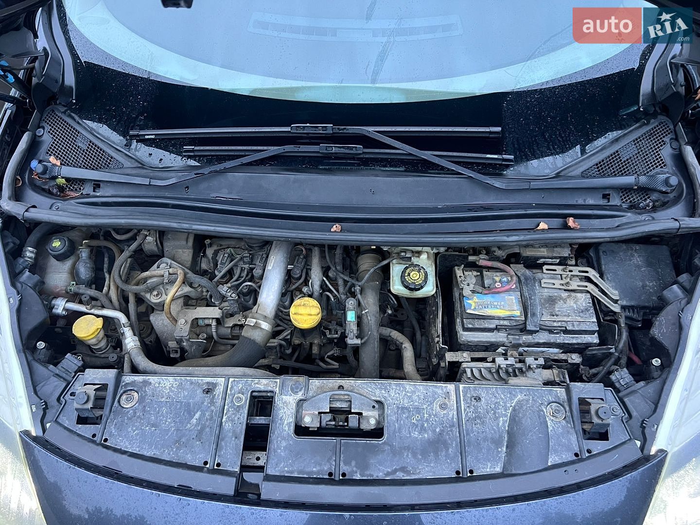 Renault Scenic 2010 VIN VF1JZ090E44474529 фото оголошення 25 з 26
