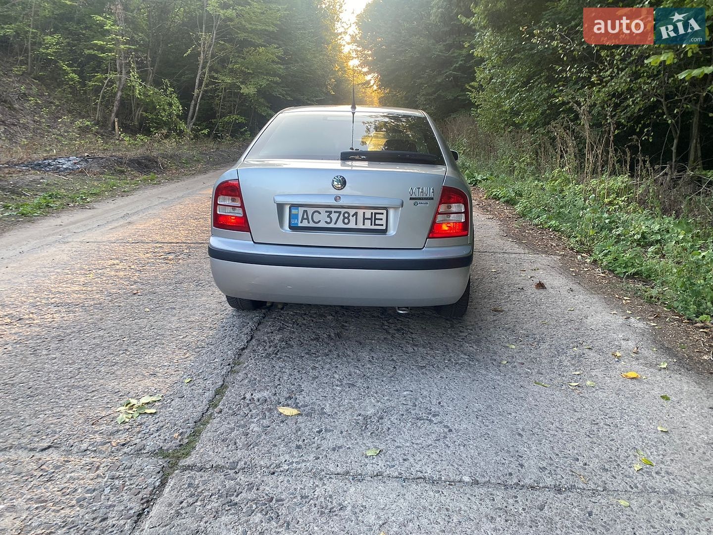 Skoda Octavia 2005 VIN TMBDX21U468838293 фото оголошення 10 з 22