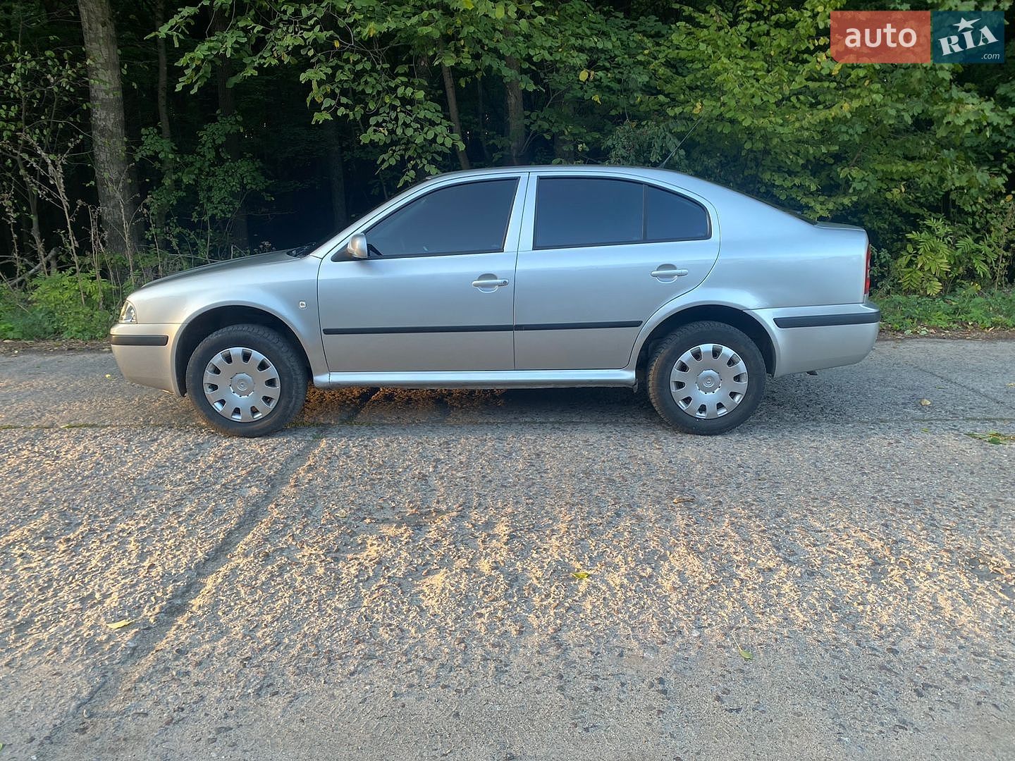 Skoda Octavia 2005 VIN TMBDX21U468838293 фото оголошення 14 з 22