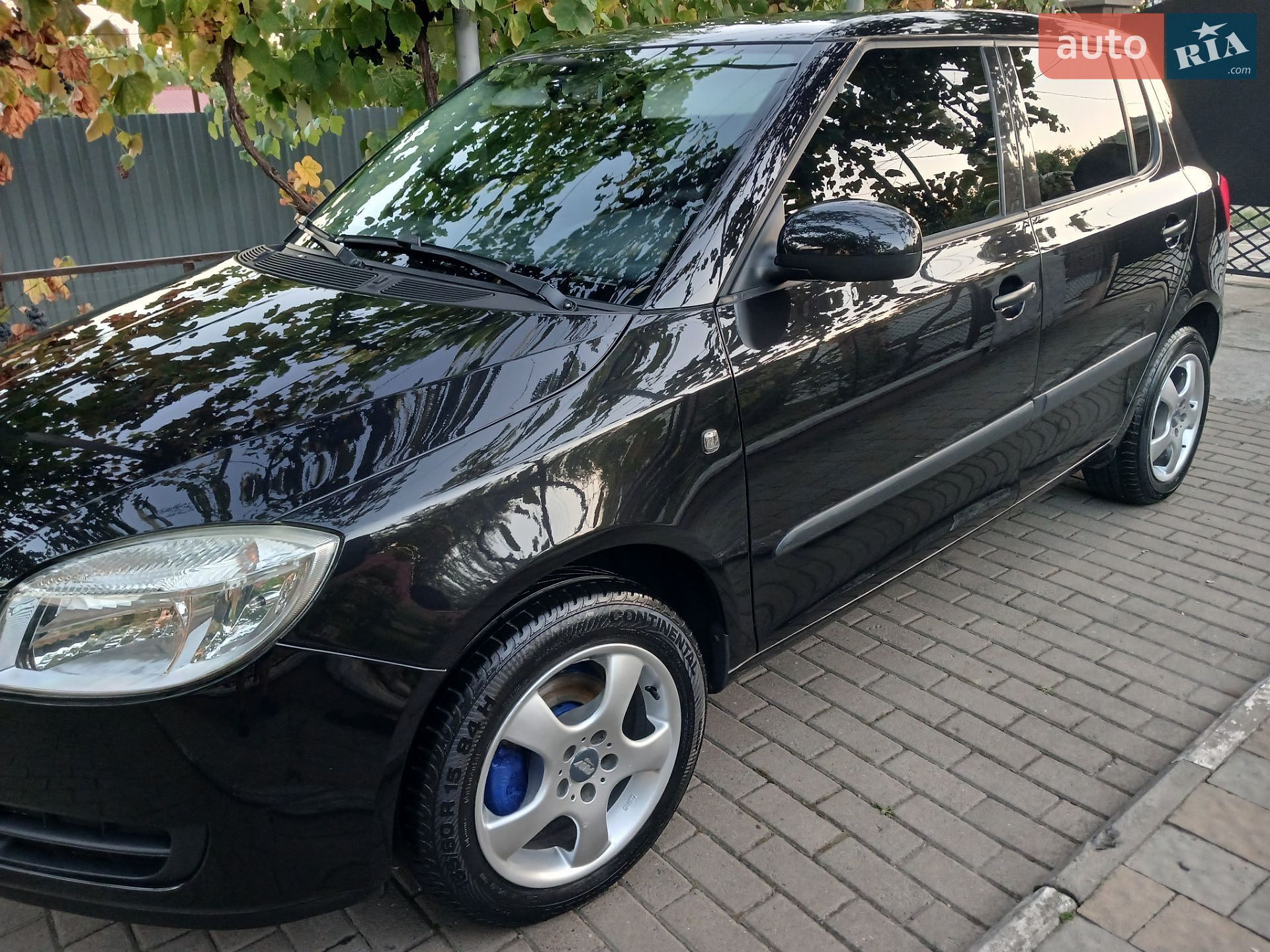 Skoda Fabia 2009 VIN TMBAC65J5A3031096 фото оголошення 10 з 24