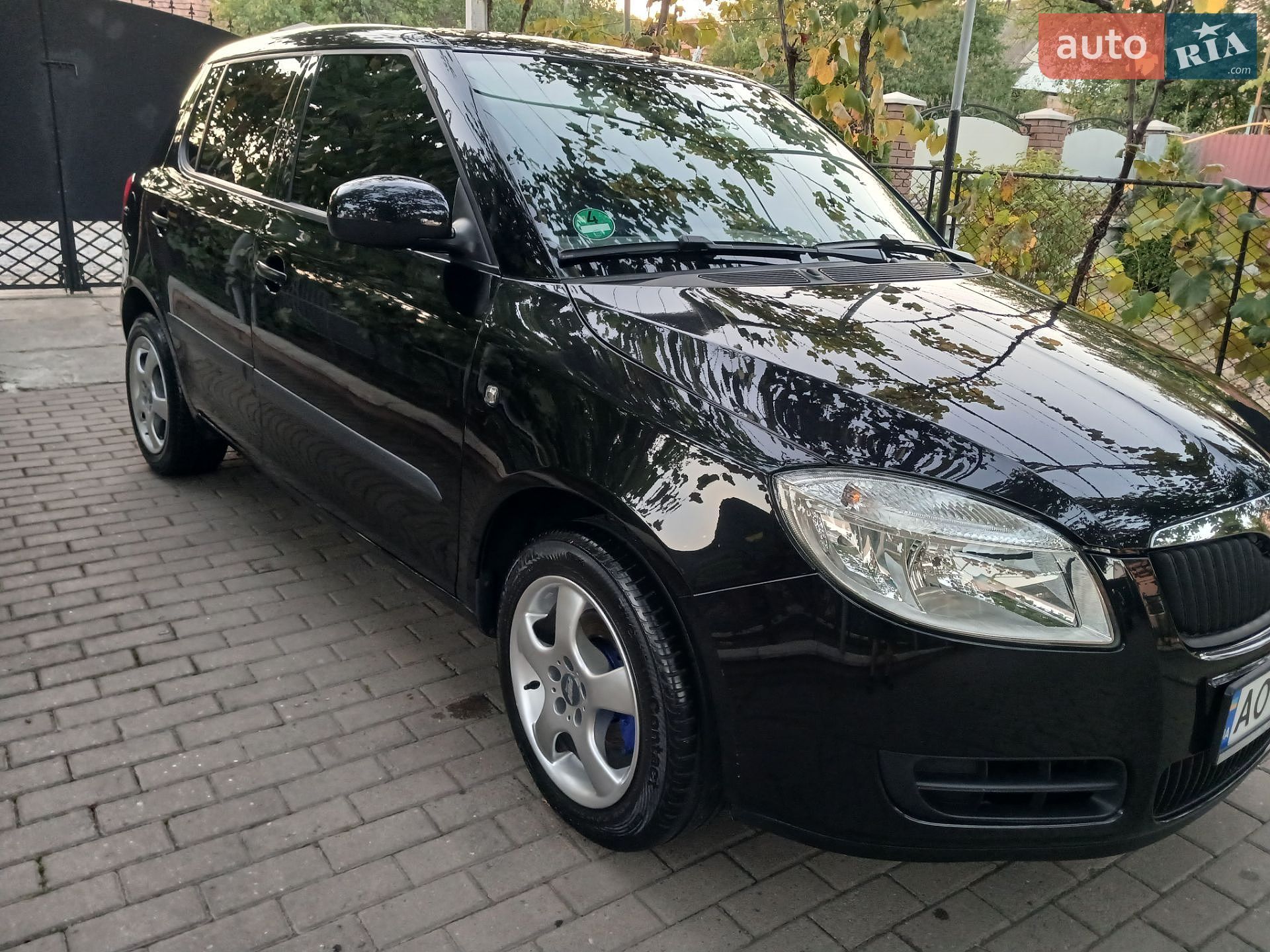 Skoda Fabia 2009 VIN TMBAC65J5A3031096 фото оголошення 5 з 24