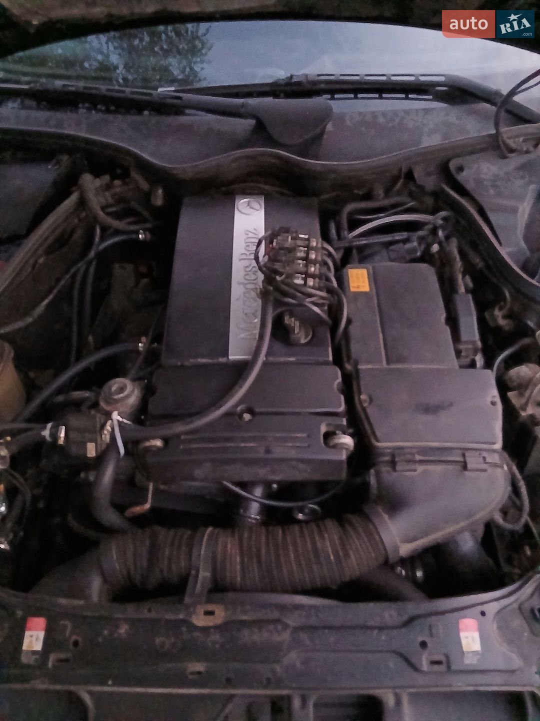 Mercedes-Benz C-Class 2005 VIN WDB2030461A776383 фото оголошення 8 з 8