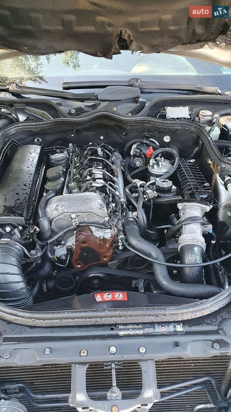 Mercedes-Benz E-Class 2004 VIN WDB2112061A576513 фото оголошення 18 з 18