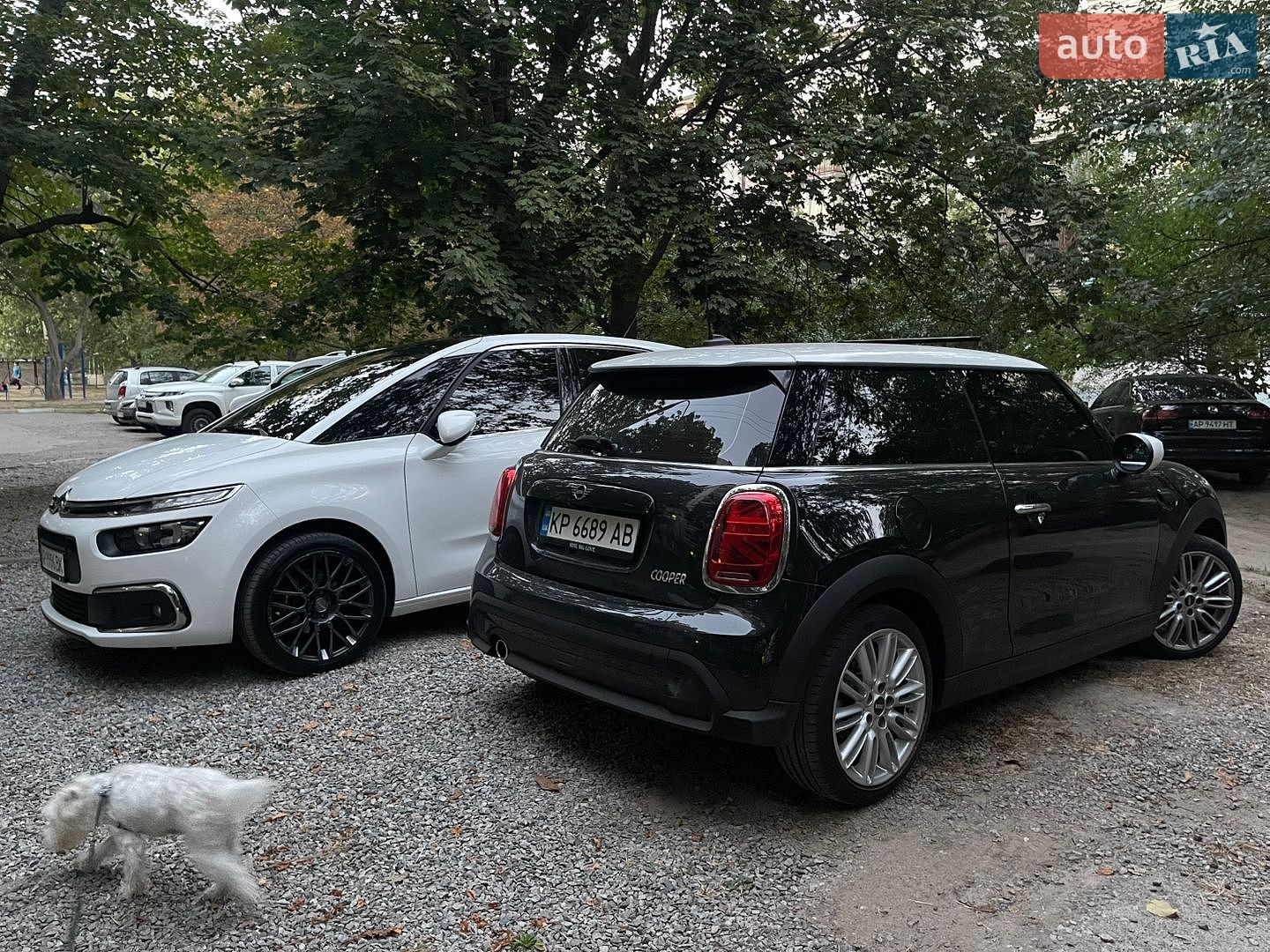 MINI Cooper 2022 VIN WMW41DH0XP2T18391 фото оголошення 44 з 59
