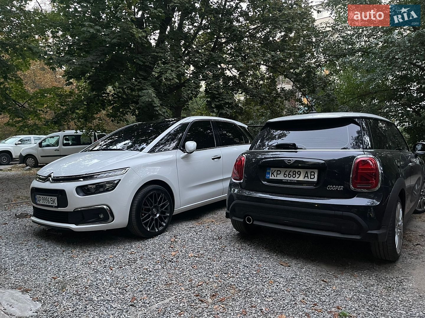 MINI Cooper 2022 VIN WMW41DH0XP2T18391 фото оголошення 45 з 59