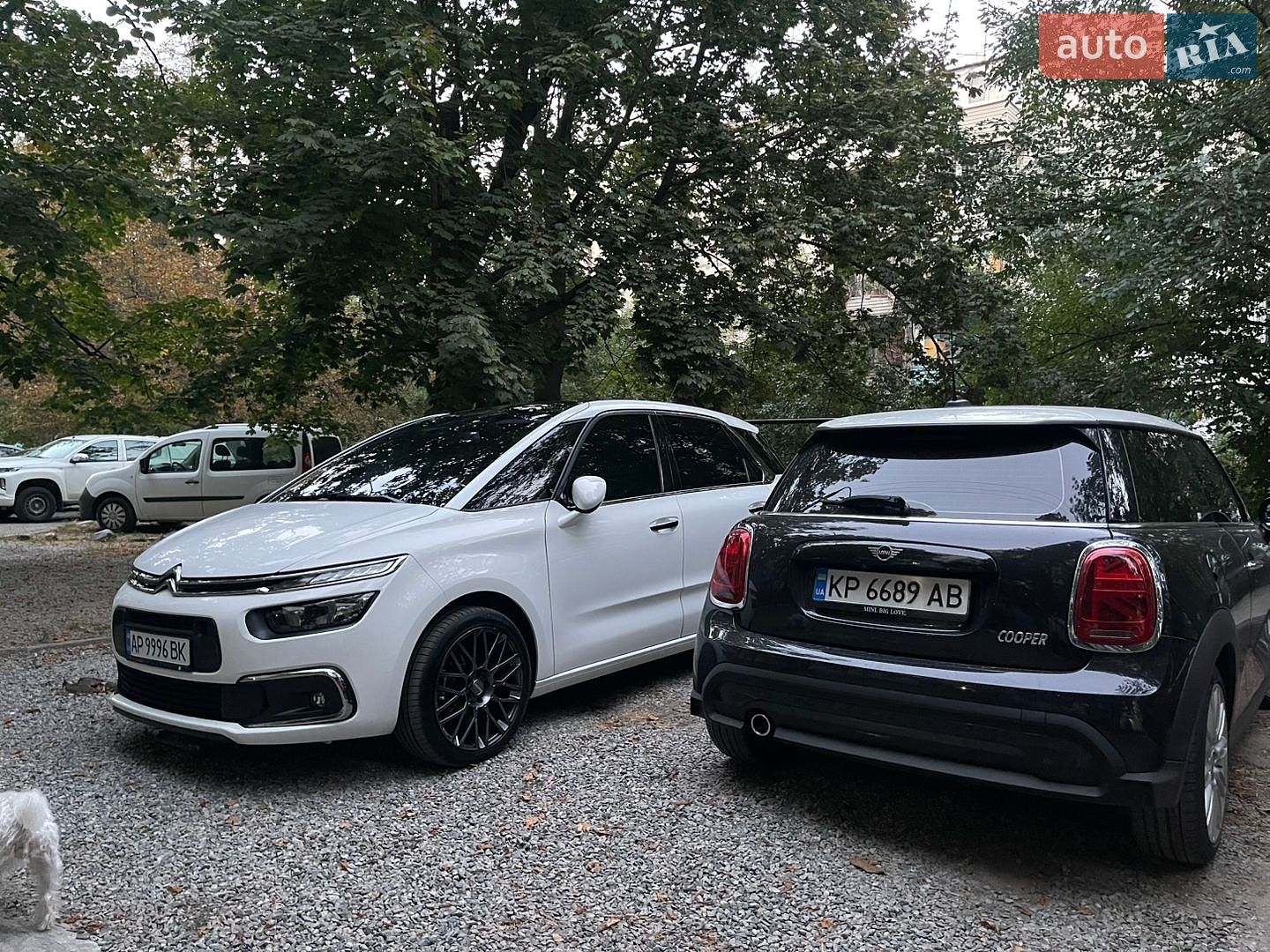 MINI Cooper 2022 VIN WMW41DH0XP2T18391 фото оголошення 46 з 59