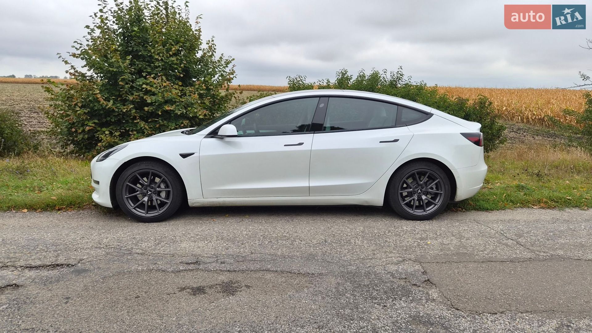 TESLA MODEL 3 2021 VIN 5YJ3E1EA8MF018338 фото оголошення 2 з 12