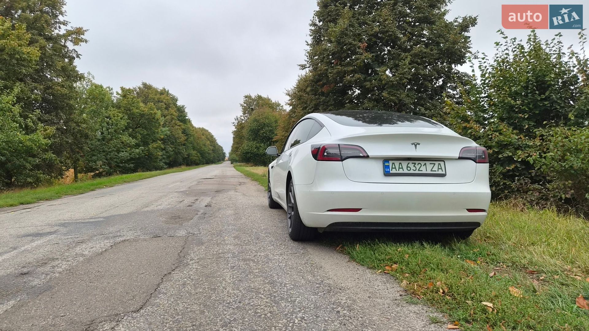 TESLA MODEL 3 2021 VIN 5YJ3E1EA8MF018338 фото оголошення 4 з 12