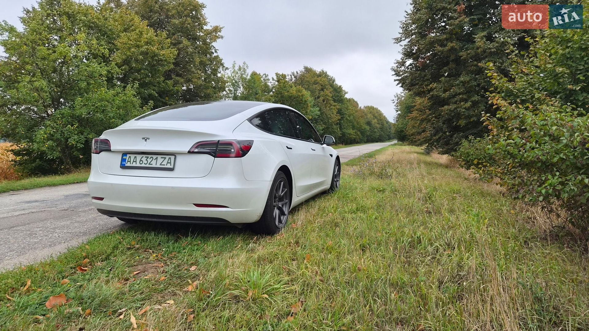TESLA MODEL 3 2021 VIN 5YJ3E1EA8MF018338 фото оголошення 5 з 12