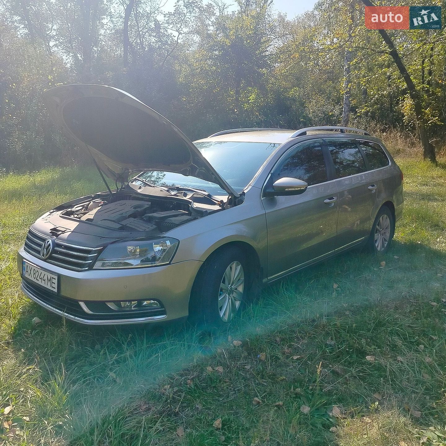 Volkswagen Passat 2013 VIN WVWZZZ3CZDE143413 фото оголошення 24 з 28