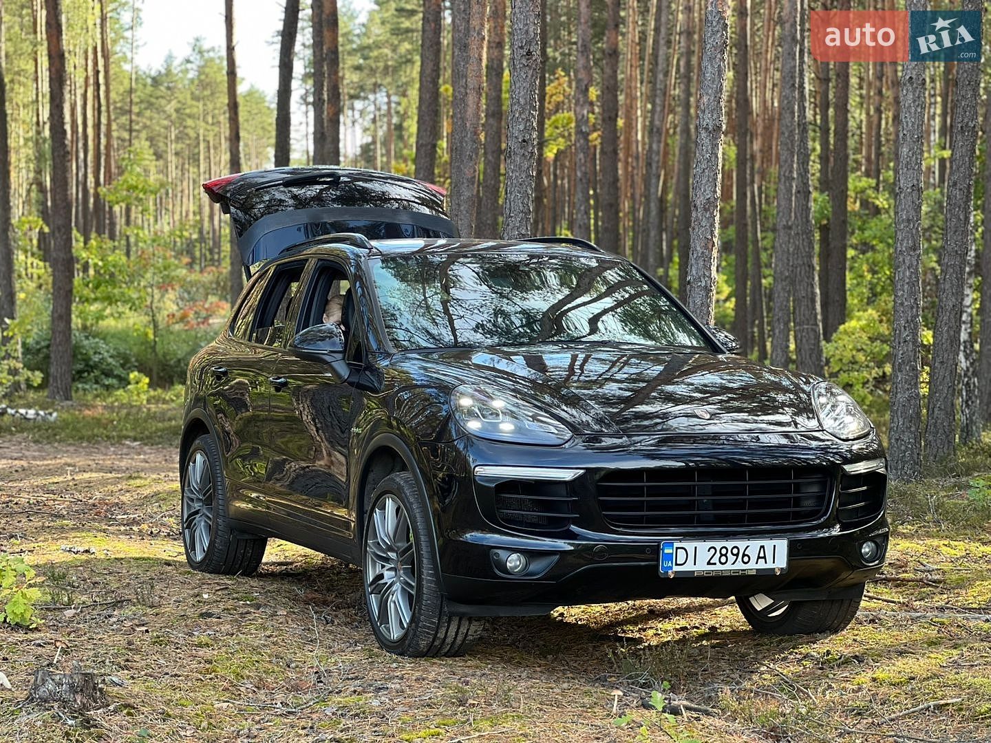 Porsche Cayenne 2015 VIN WP1AE2A23FLA53573 фото оголошення 93 з 94