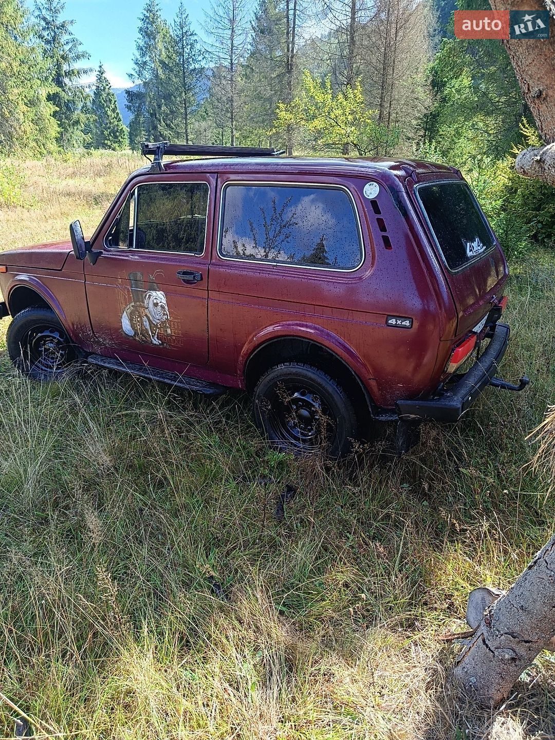 ВАЗ / Lada 2121 Нива 1988 VIN XTA212100J0634046 фото оголошення 10 з 10