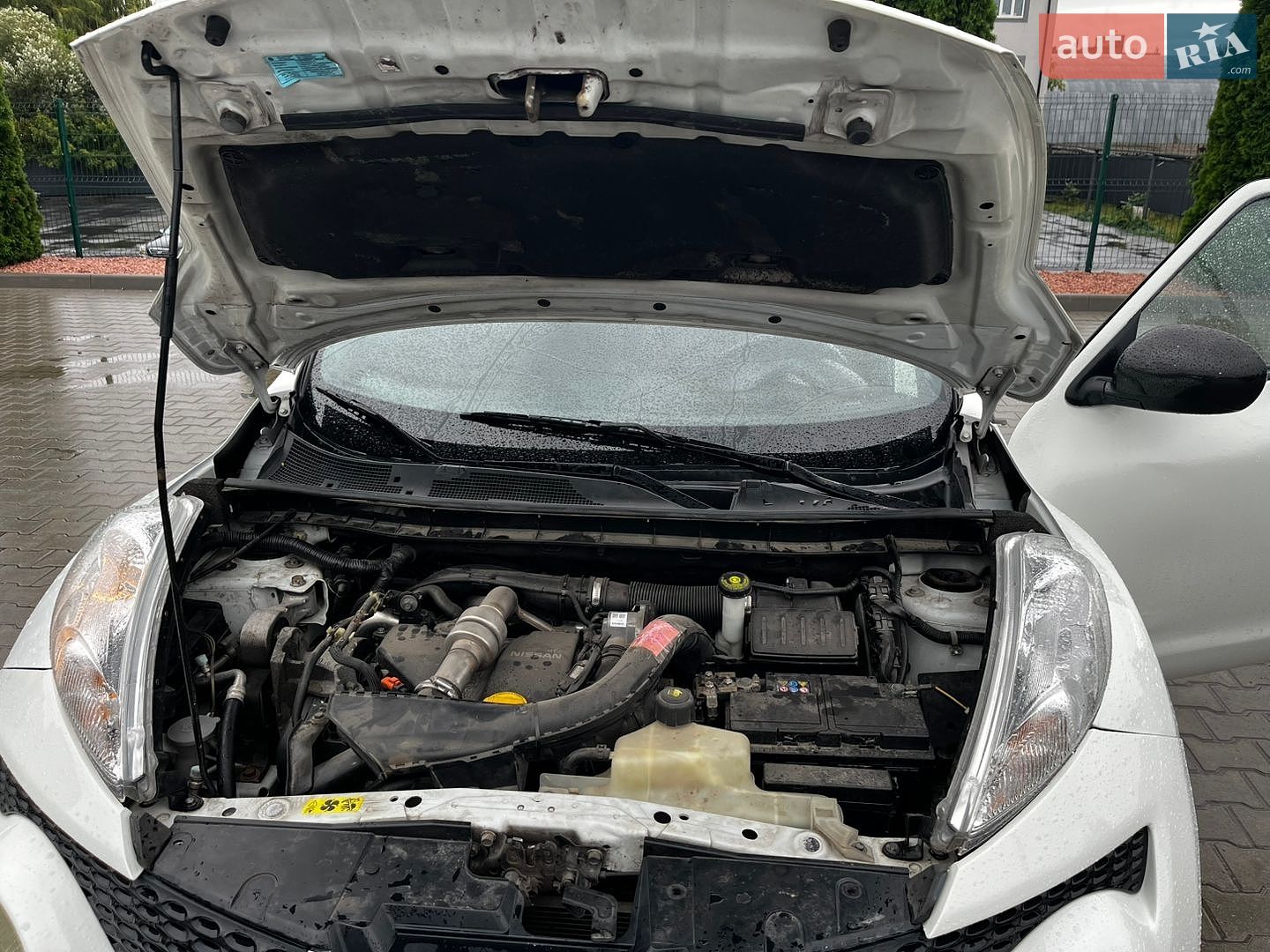 Nissan Juke 2011 VIN SJNFCAF15U6101134 фото оголошення 19 з 19