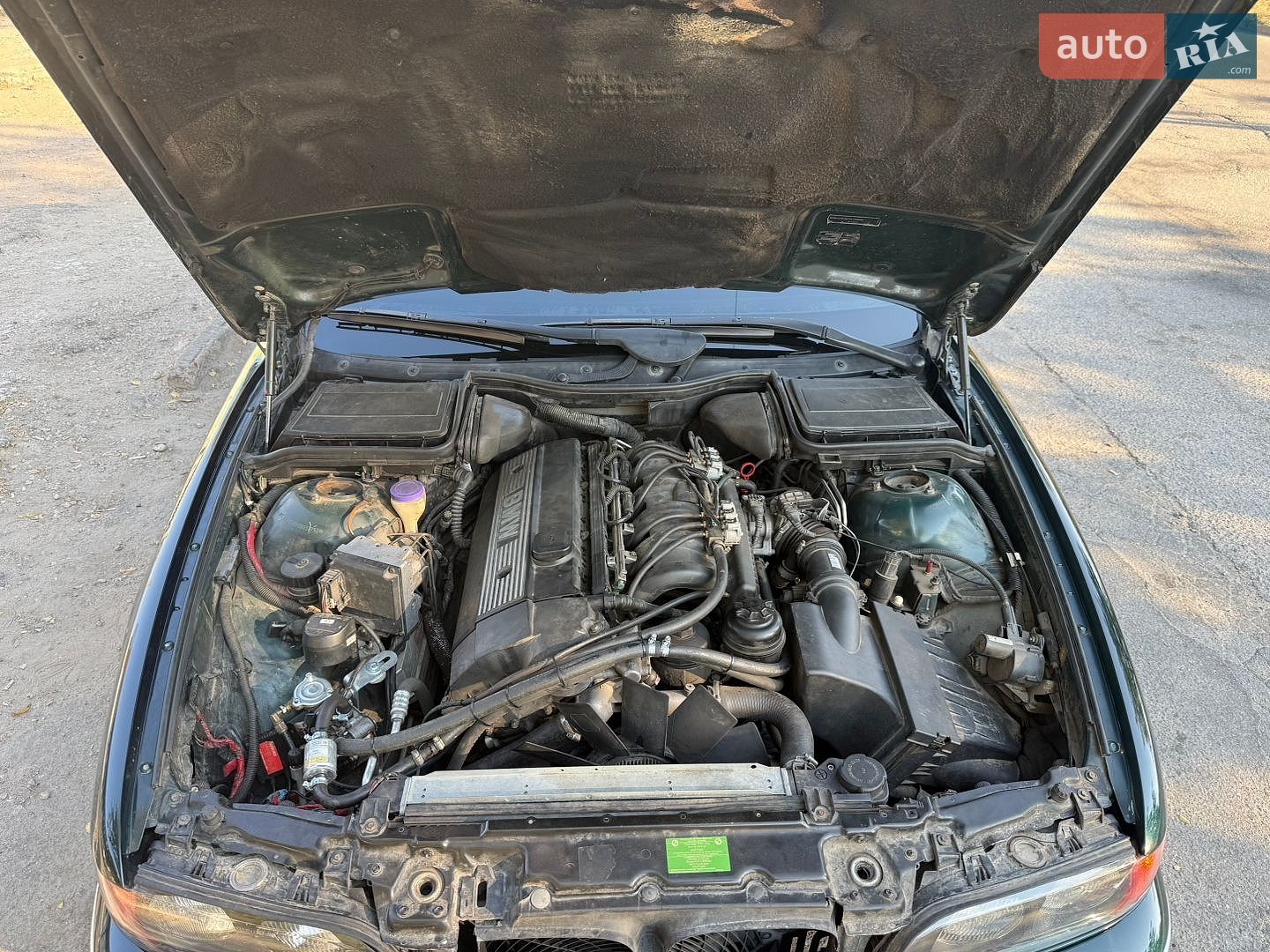 BMW 520 1997 VIN WBADD210X0BH57752 фото оголошення 17 з 22