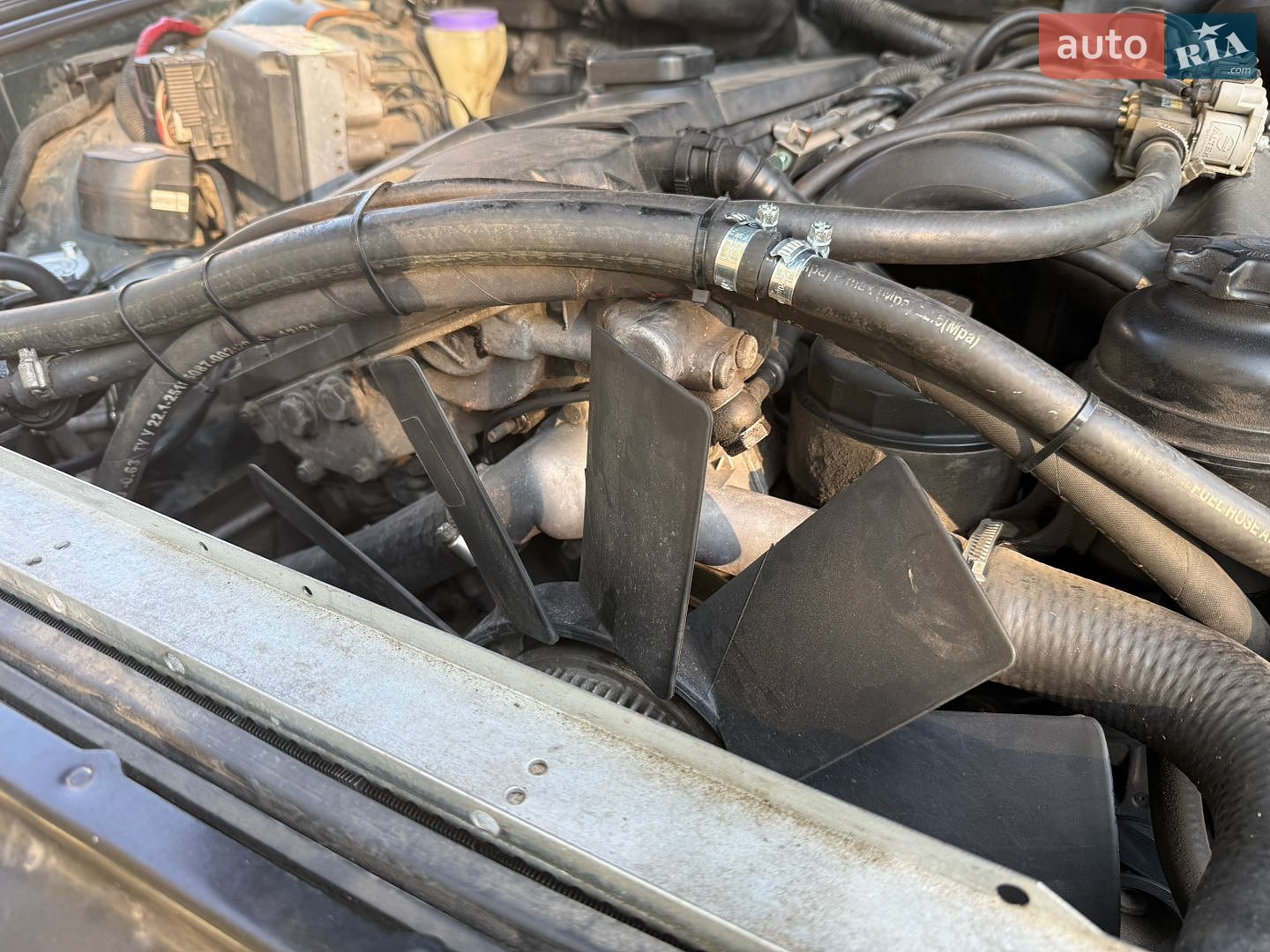 BMW 520 1997 VIN WBADD210X0BH57752 фото оголошення 18 з 22