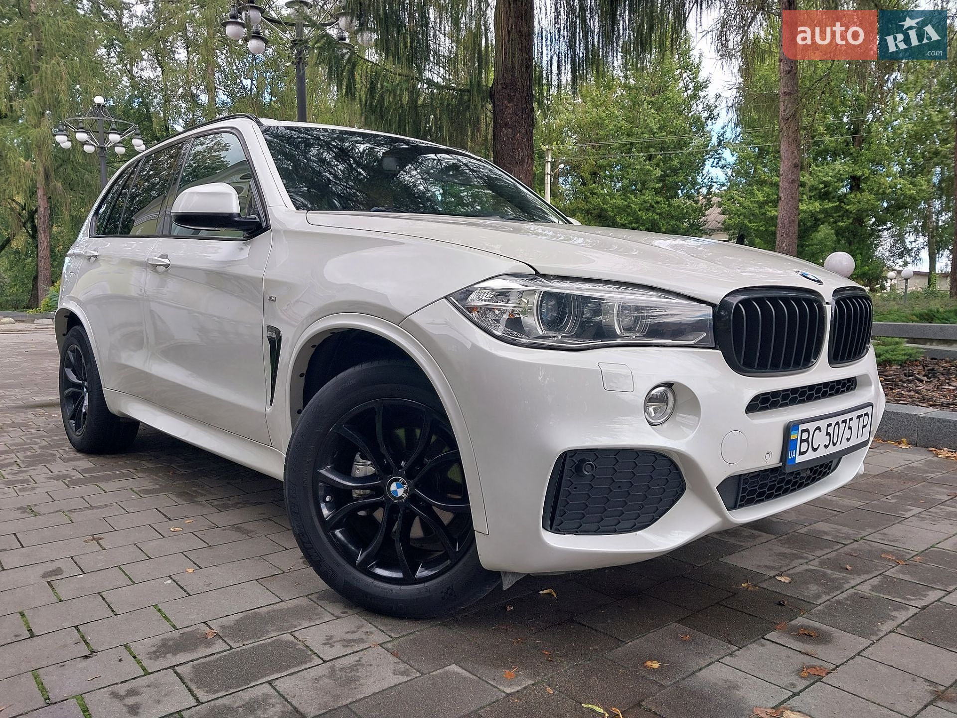 BMW X5 2015 VIN WBAKS410100H66795 фото оголошення 3 з 89