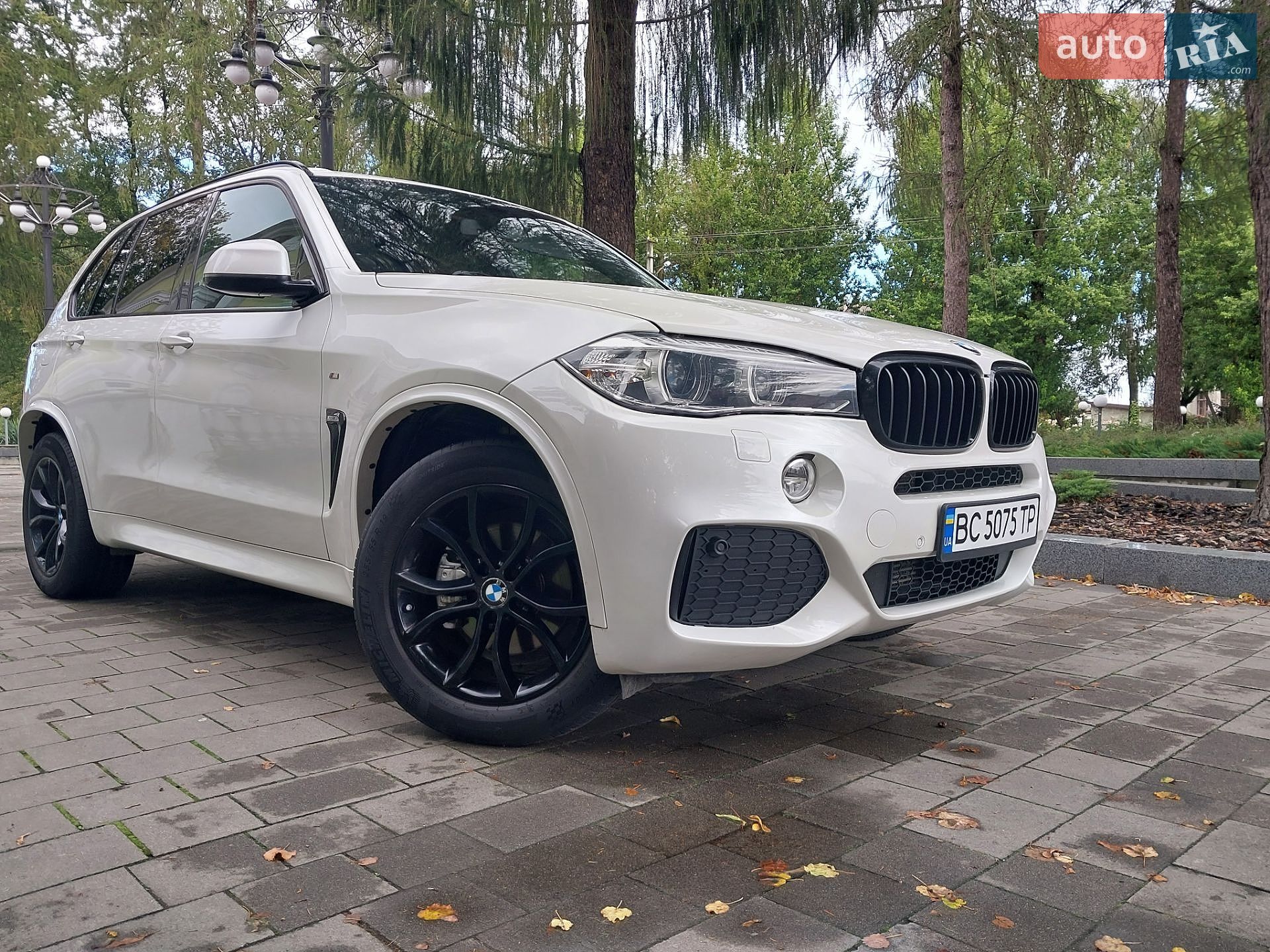 BMW X5 2015 VIN WBAKS410100H66795 фото оголошення 5 з 89
