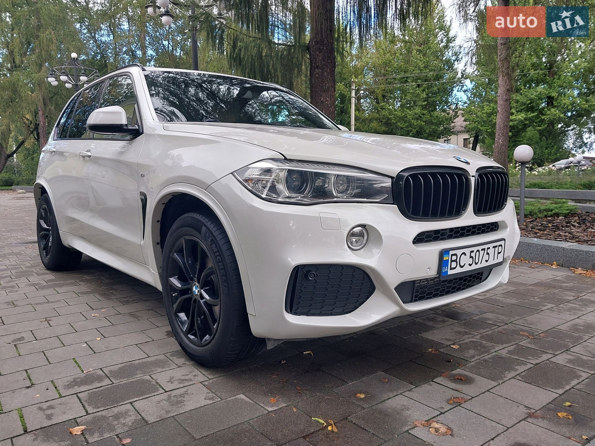 BMW X5 2015 VIN WBAKS410100H66795 фото оголошення 8 з 89